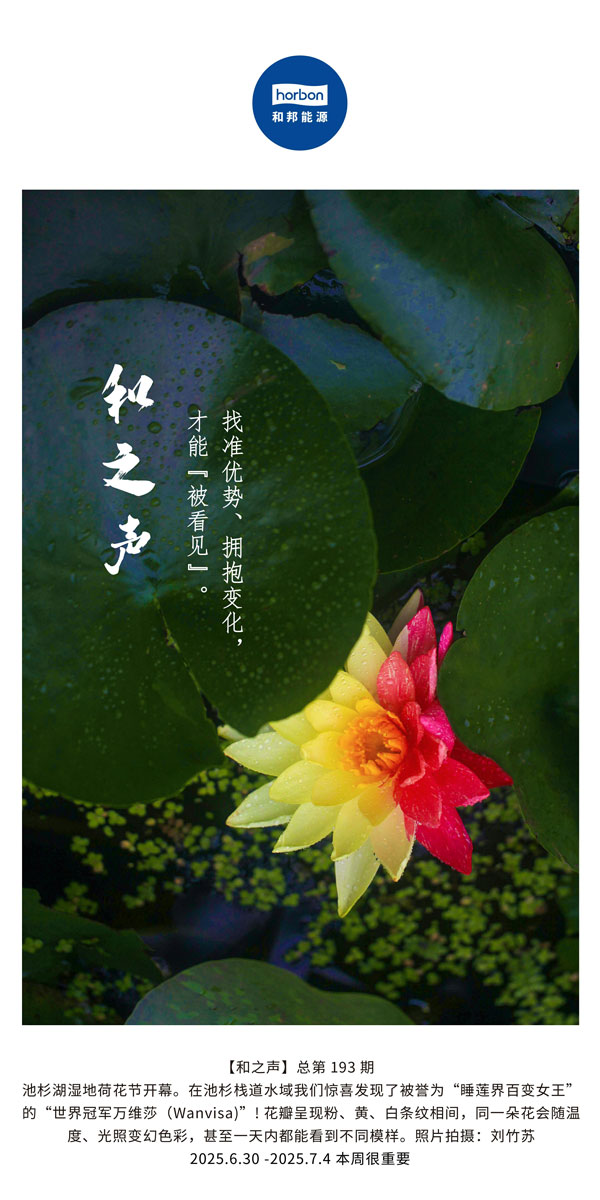 【和之声】找准优势、拥抱变动，能力“被看见”。(总第193期）--2025.6中文导出季度推送用.jpg